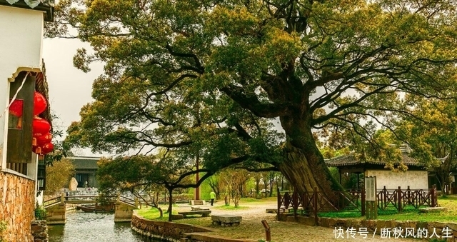 古村|江苏西山岛上的“绝美”古村，门票50元，景色不输周庄乌镇