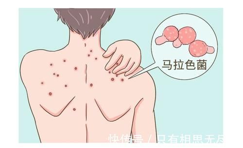 真相|洗澡要不要搓泥?多久洗一次澡?一文读懂洗澡的真相