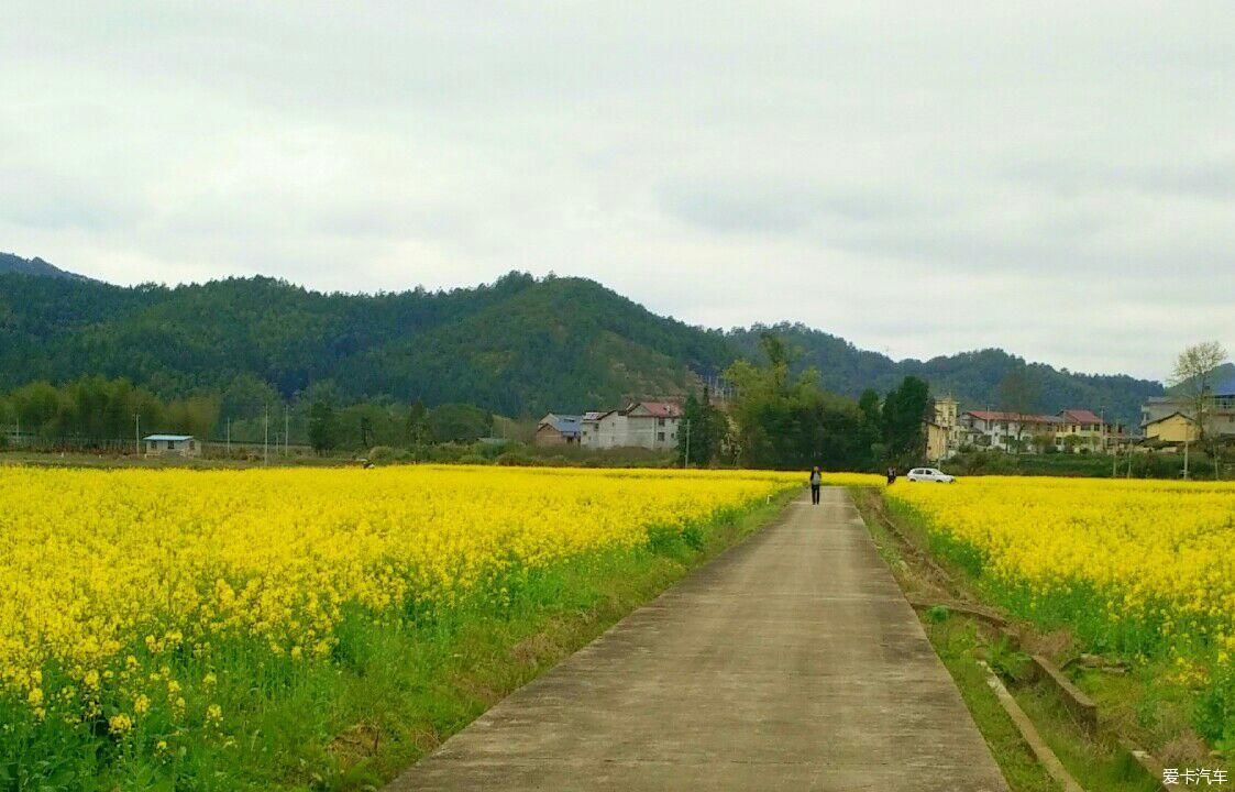 浙江|爱在山花烂漫时