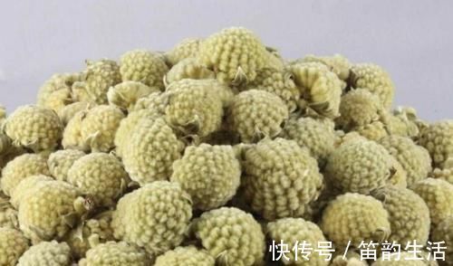 绿萝花|糖尿病的“福音”找到了,每天用“它”泡水喝,血糖或能悄悄下降