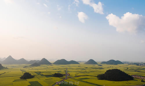 中国最早的油菜花海已盛开，还上了《中国国家地理》杂志，免门票