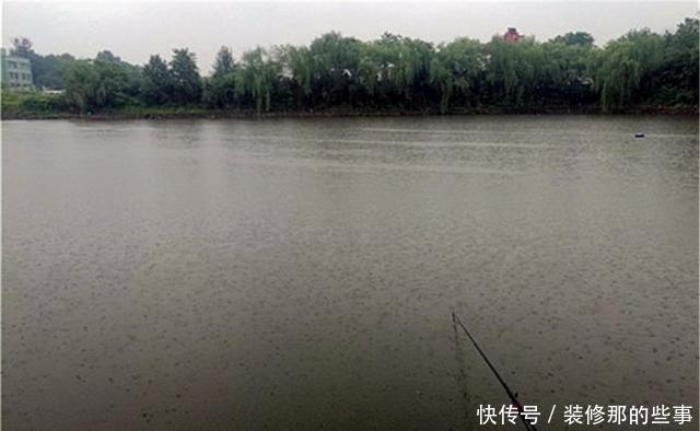 鱼情|盛夏钓鱼,套路上有6钓