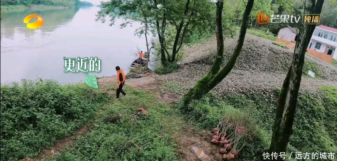 两人 李诞、陈赫再上《向往的生活》,两人还是一如既往的懒