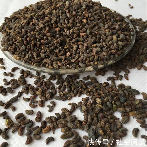 中药|一味中药这样用,调理头晕耳鸣,遗精便秘等症附常用中成药