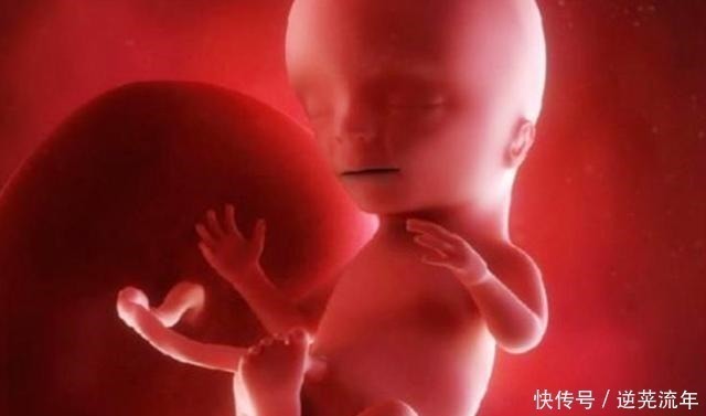妈妈|胎儿在妈妈的肚子里会感觉到孤独吗事实让人觉得有趣,了解一下!