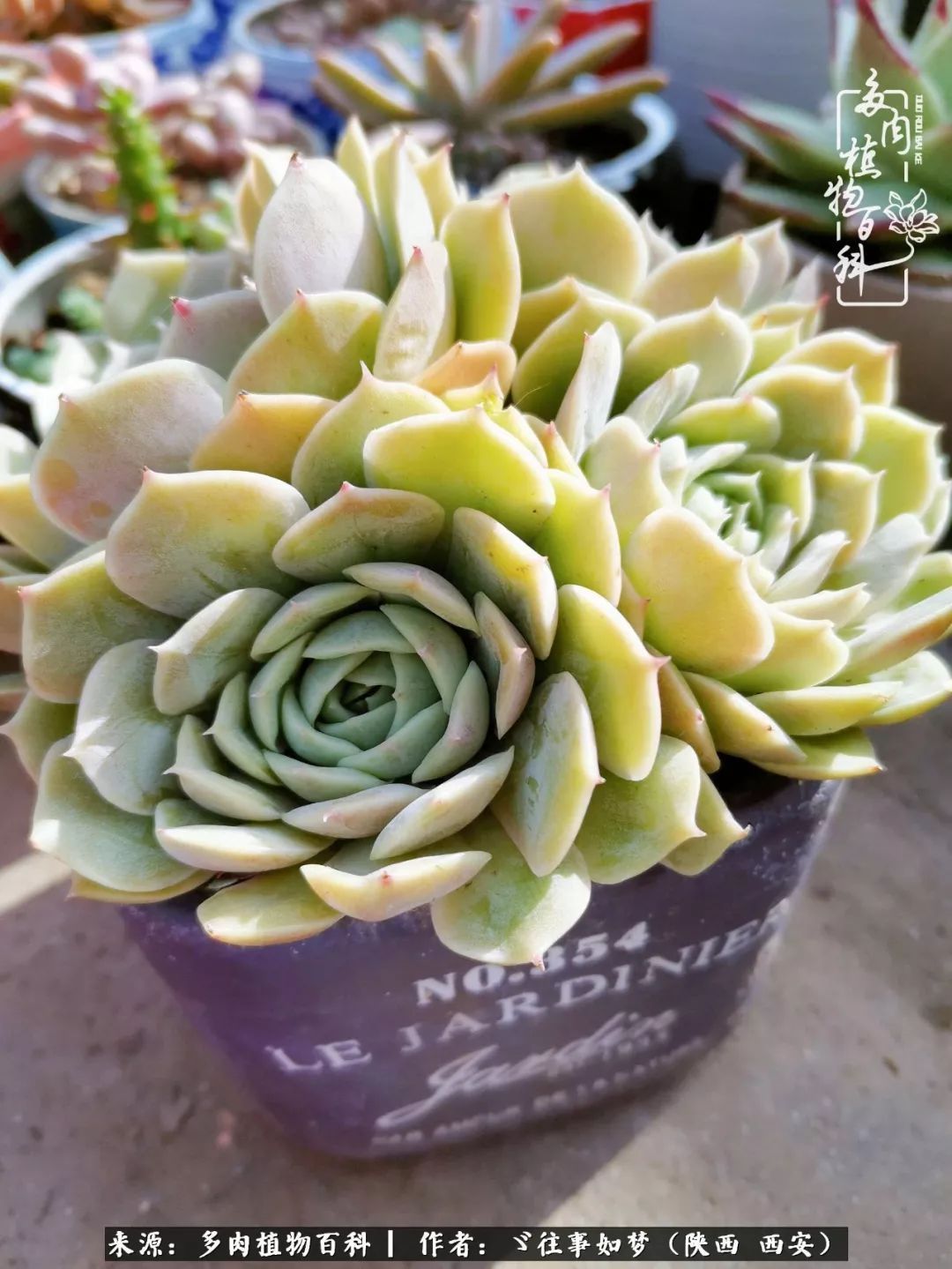 愿你付出甘之如饴，愿你所得归于欢喜！