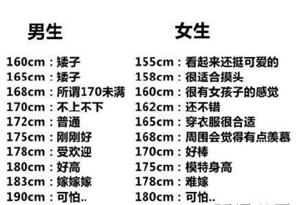 53 4体重数据多少