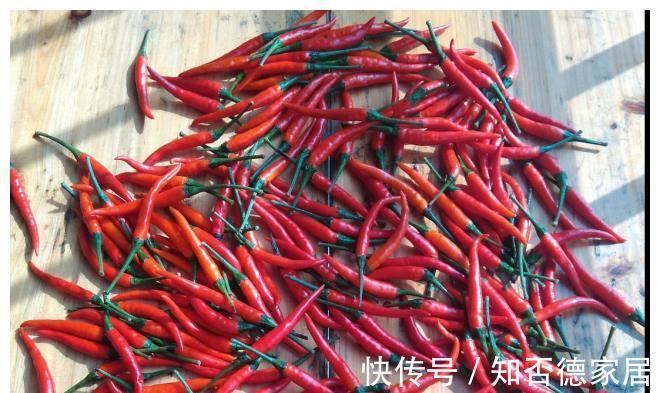 开胃|蒜蓉辣椒的正确制作方法,两小时能做好,开胃又下饭,简单易学!