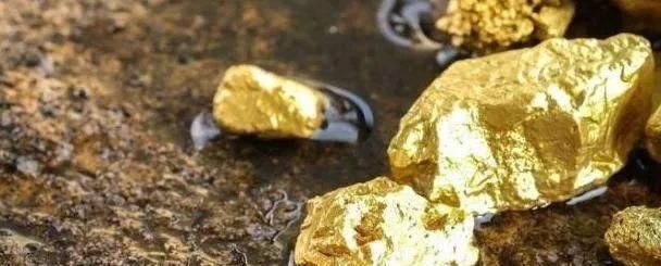 一群科学家苦苦探索寻找暗物质失败,却意外发现了大量黄金