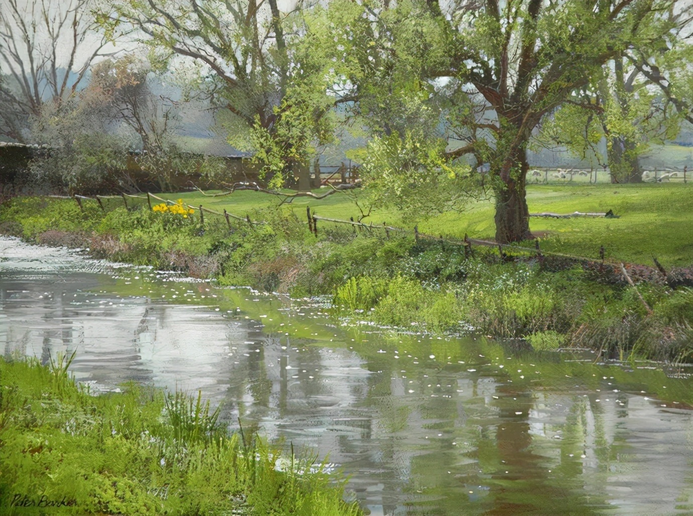 Peter#英国Peter Barker油画风景(二)