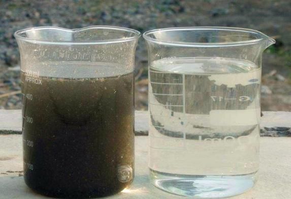 杜鹃花养得没精神、黄叶,将“1个步骤”改一改,不久就能养好