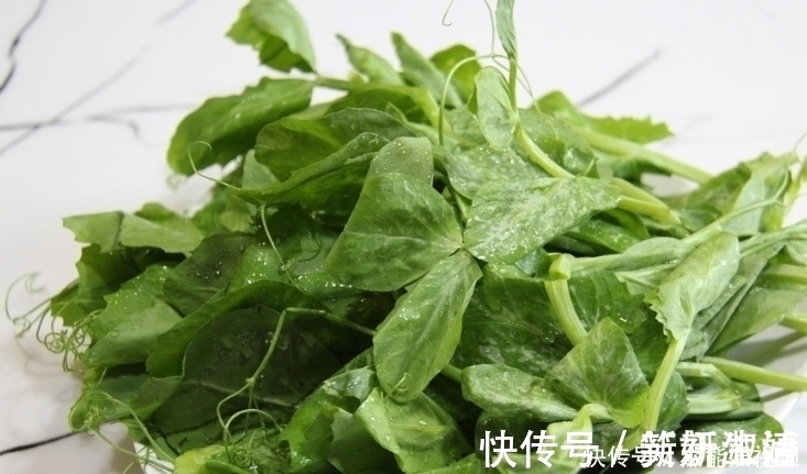 眼睛|“年轻守护神”的一种蔬菜,有防老化作用,对眼睛很好的保护效果