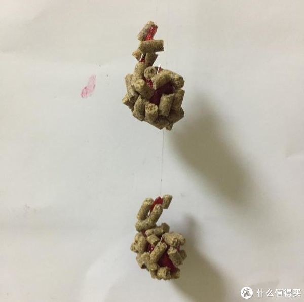 鲫鱼们|黑坑钓鲫鱼,巧用蘸饵出奇制胜,诱钓结合让鲫鱼争相抢食