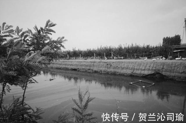 战斗片|儿时农村看电影的苦涩记忆