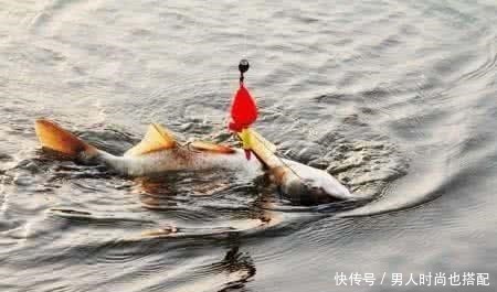 串钩|常见的四种鲢鱼钓法,有三种已经不让用了