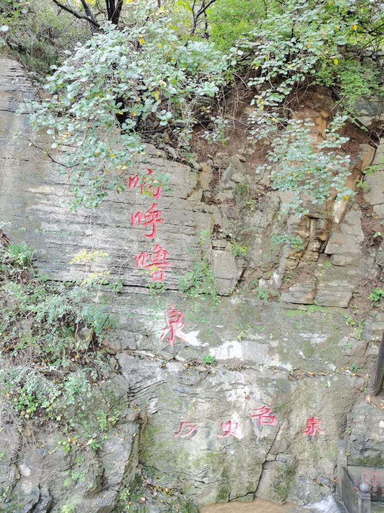 国庆|这就是山东·国庆探泉丨玉河泉村：一个“泡”在泉水里的小山村