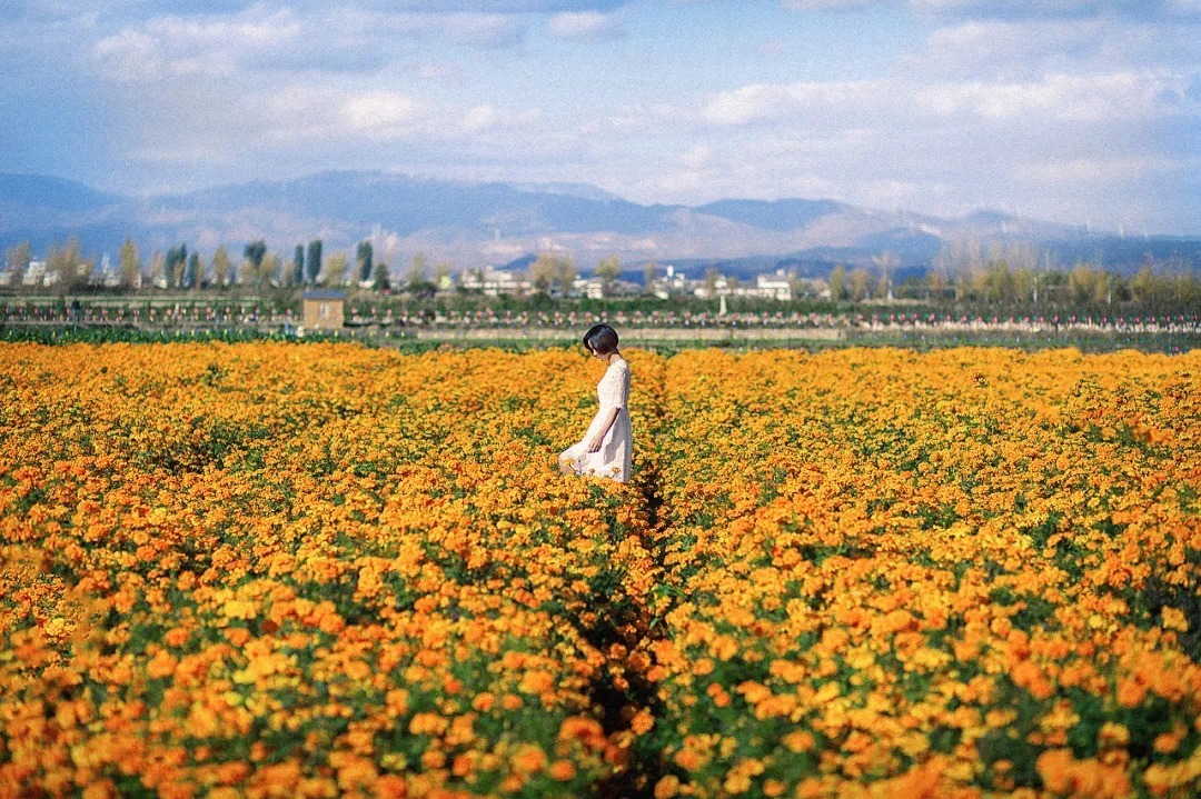 |半生已过,学会“幽默”