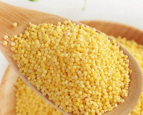 色氨酸|爱喝小米粥的人,长寿不会远离你,但勿和此物搭配,早知早好!