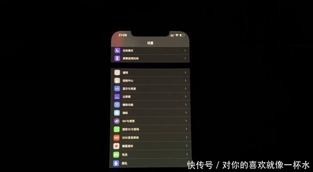 中招|自用iPhone12ProMax中招，绿屏不止LG，三星屏一样会绿