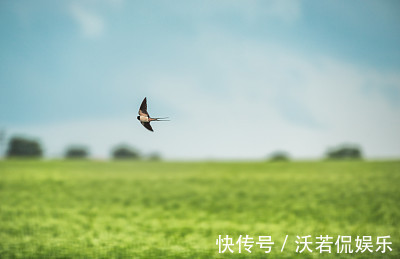 人好不如命好，这生肖女最有福，生的子女个个是上等命，福泽子孙