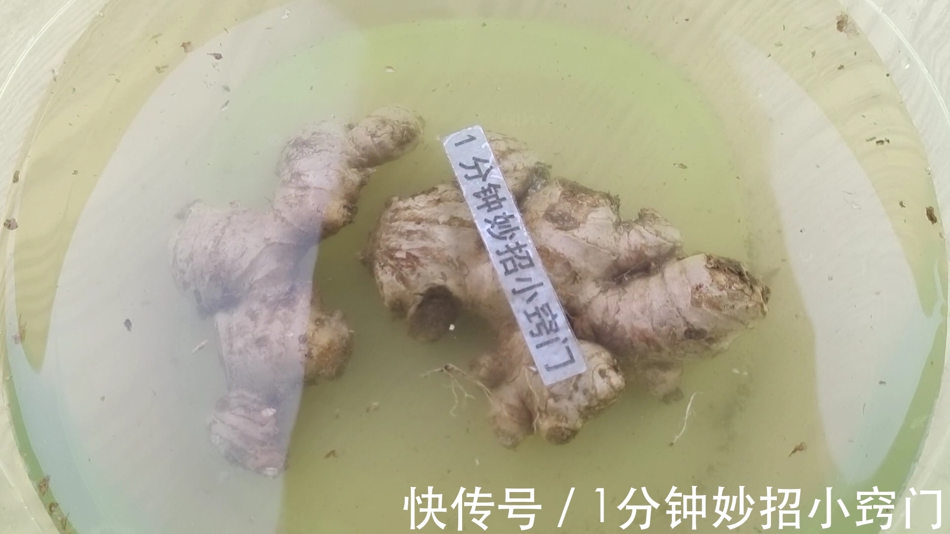 今天才知道，保存生姜原来这么简单，教你绝招，放一年不干不发芽