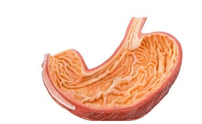 口臭|它是口臭的“天敌”,抓3粒泡水喝,助你口气清新,便秘也减轻了