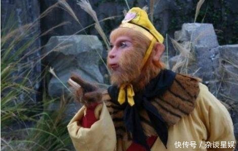 大唐|东土大唐境内为何没有妖怪?听听猪八戒怎么说