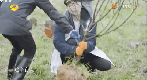 张艺兴是去建设社会主义新农村的吗?