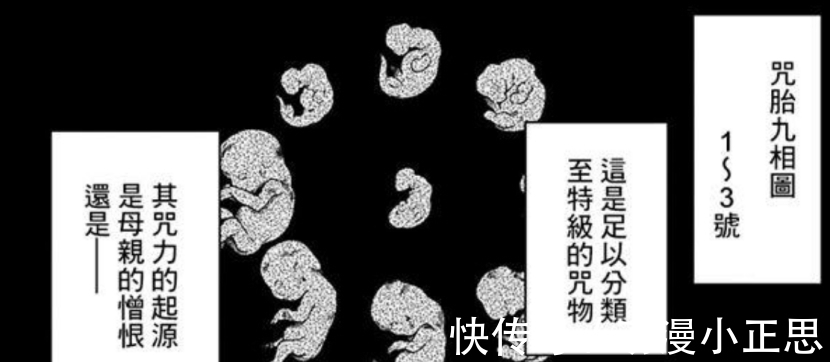 咒术师|咒术回战134:脑花又一身份曝光,胀相被不存在的记忆彻底洗脑!