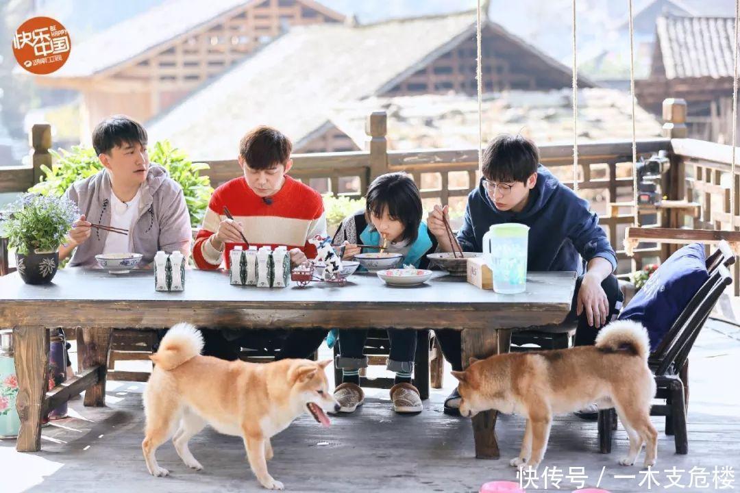 岳云鹏|偷懒油腻又世故,明知不正确还要尬笑,李诞和陈赫是拿错剧本了?