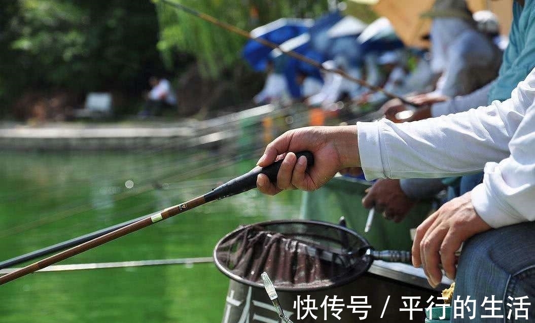 野钓鲫鱼,用几号钩才能中鱼多,跑鱼少呢