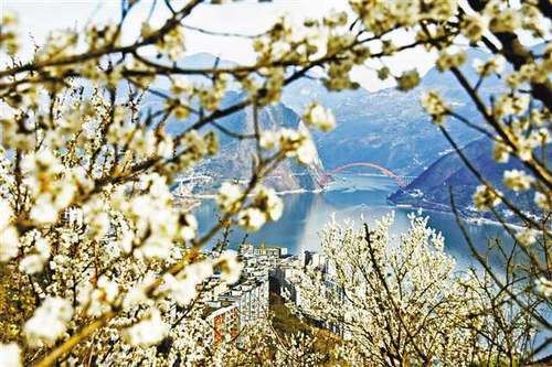 春来花开艳满城 一路繁花一路景