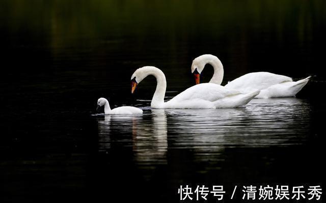 羽毛球|22个冷知识,课本上不会出现,但却真实有趣的存在着