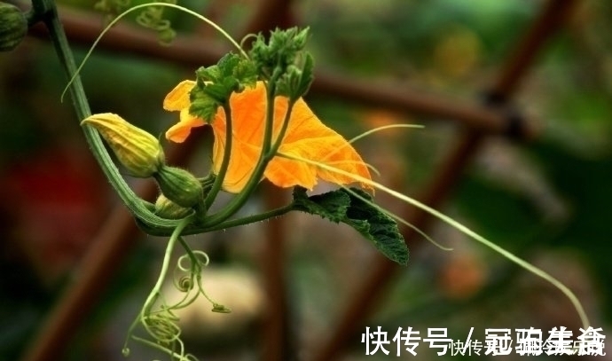 效忠!鬼谷子识人术一个人有没有出息,看这三点就够了