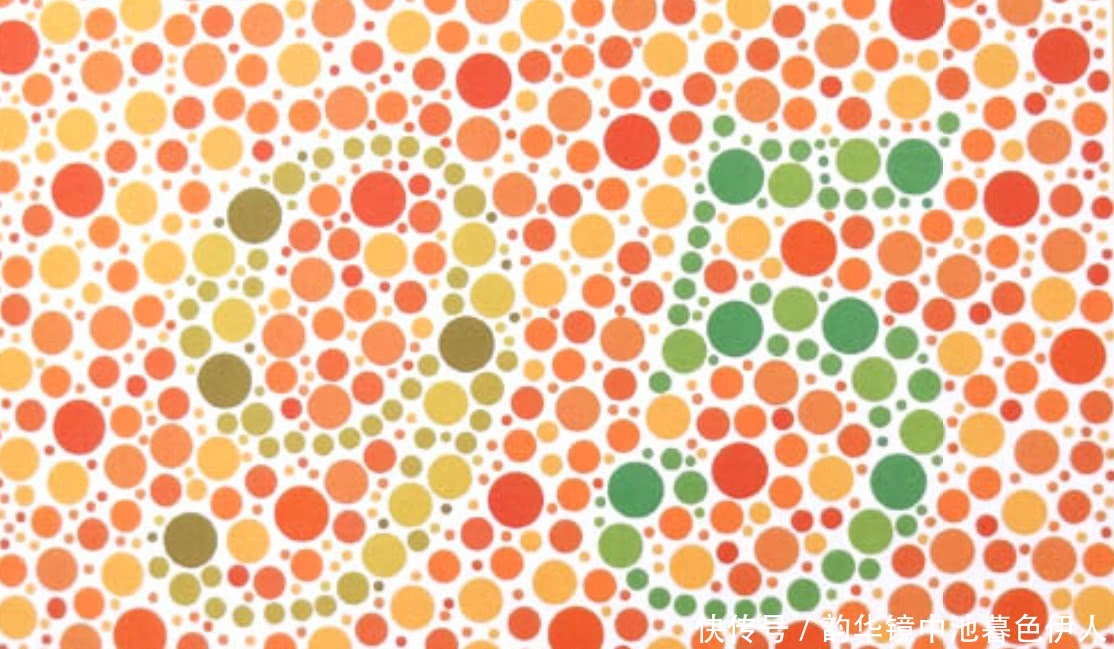 图片 色盲测试:第一张是飞机,最后一张的图案,“马虎”的人认不出!