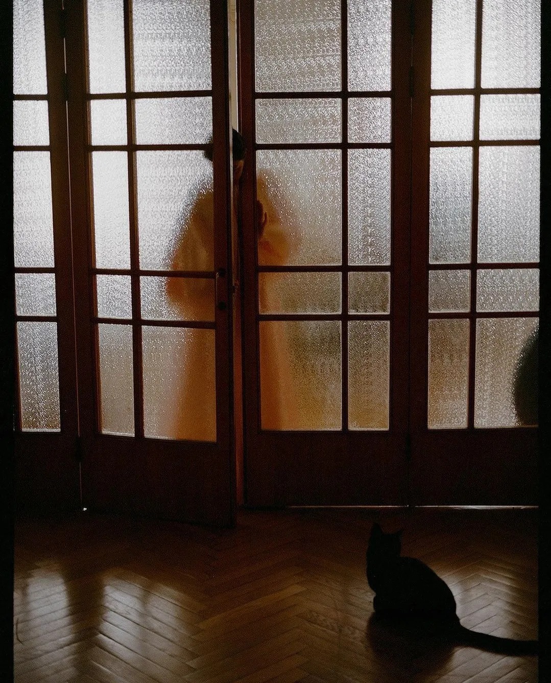 狄金森#诗人酒馆 | 艾米莉?狄金森:我从未看过荒原