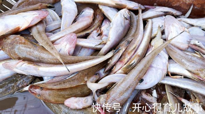 中老年人|冬季碰到此鱼,我准买20斤,营养极高,肉厚刺少味道鲜,别不懂吃