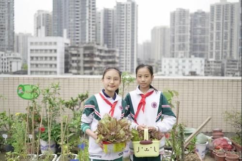 荔湾这所小学把课堂从教室搬到了天台，学生们从此爱上劳动