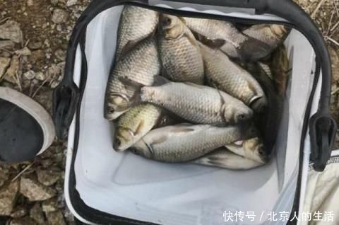 土豆粉|蚯蚓钓鱼已成过去,老渔翁教你只要2个蛋,半天就能钓90斤