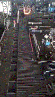 |搞笑GIF趣图都很厉害,不知道如何分辨谁更胜一筹!