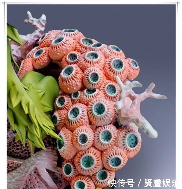 狼草|小伙曬烏索普狼草手辦,看到身后的索隆,確認家里有礦