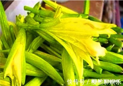 黄花菜|凉爽的秋天来了，建议您常吃3种食物，有助睡眠，增强抵抗力