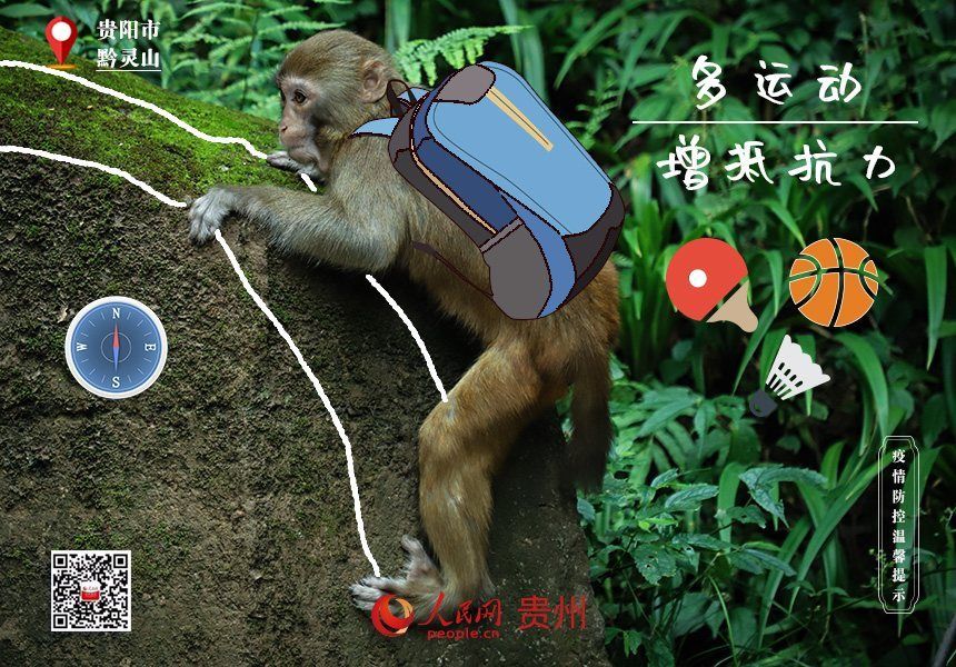 黔灵山|贵阳黔灵山的猴：大家打了疫苗来看我哈