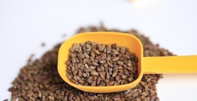 便秘把肠子“堵”住了,拉不出、肚子胖,常喝