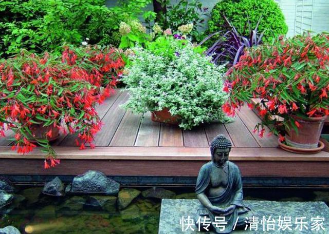 花友们|养花别光注意水、肥、光了,多小心2点,选对花盆事半功倍