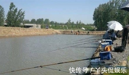 钓翘嘴想爆护?这种钓法简单又有效,咬钩的都是大货