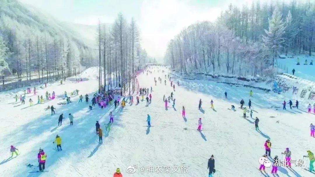 小雨|湖北即将开启冰雪季，这份《滑雪天气地图》请查收