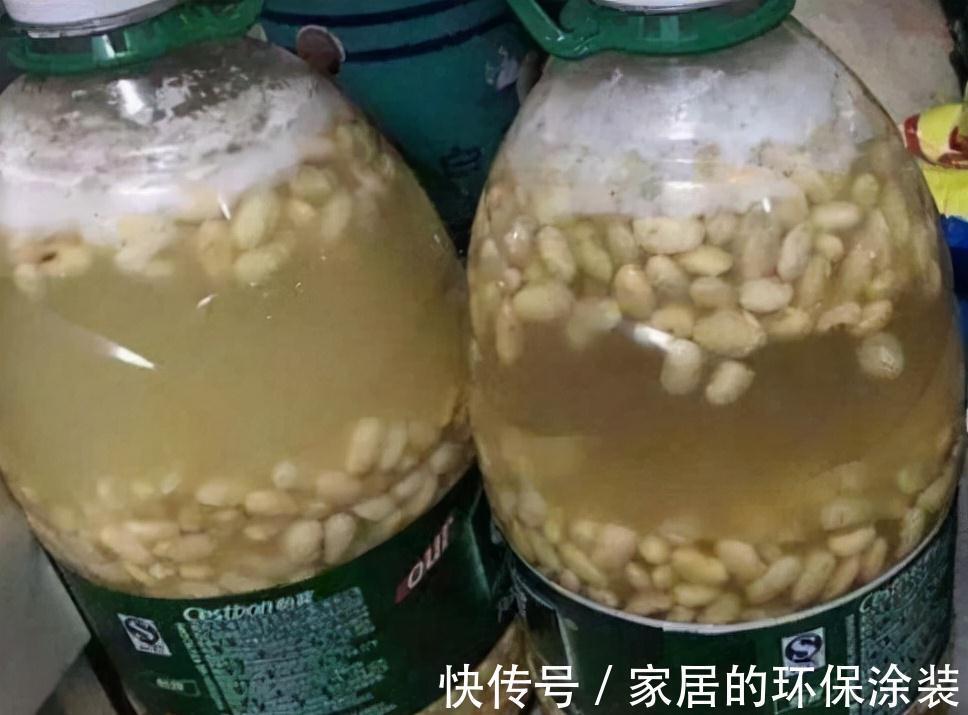 花肥不用买,在家自己做,“垃圾”桶里泡一泡,浇花大爆棚