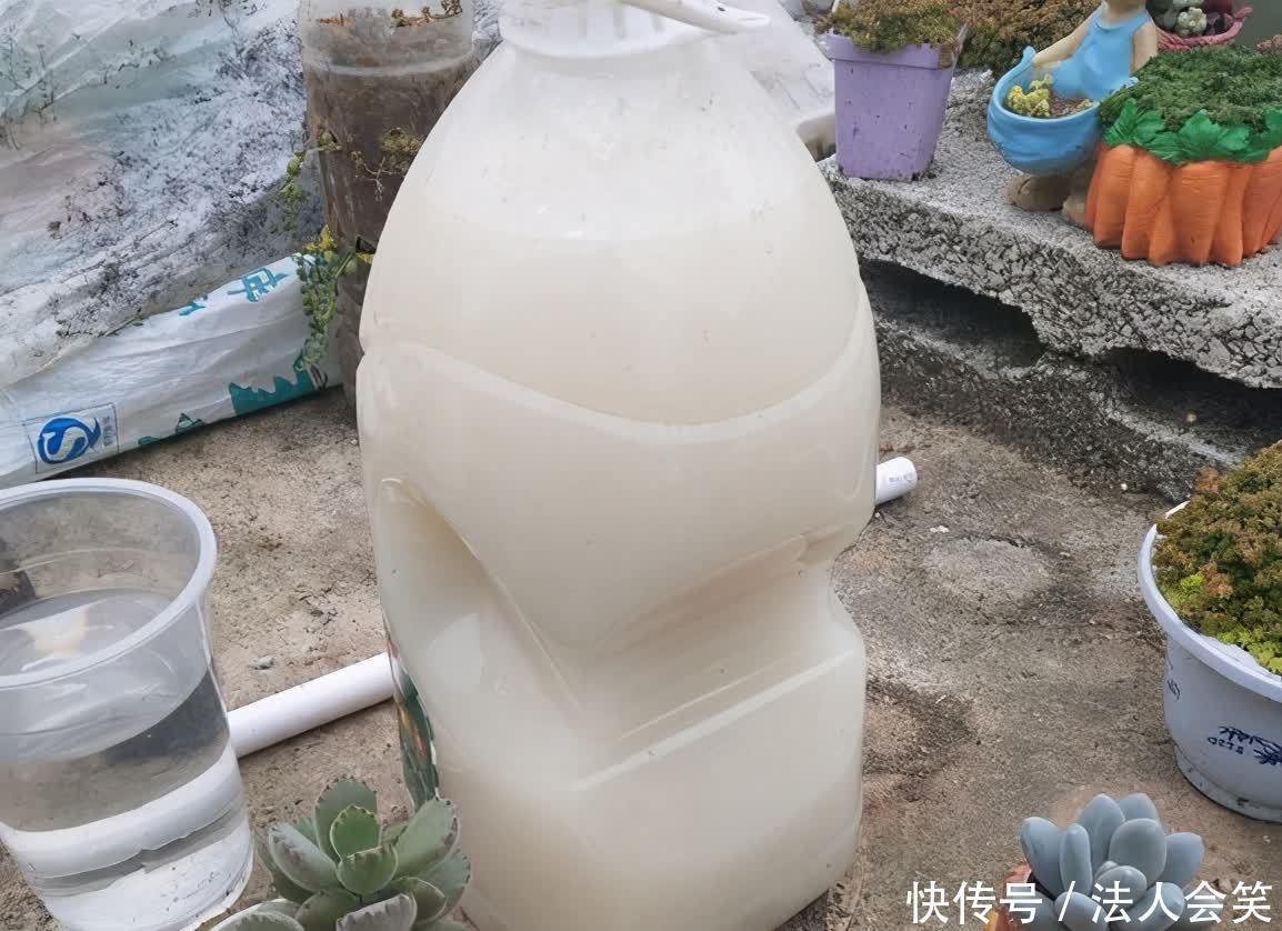 花友们|为什么有人养花能事半功倍？诀窍就是多实践这3点