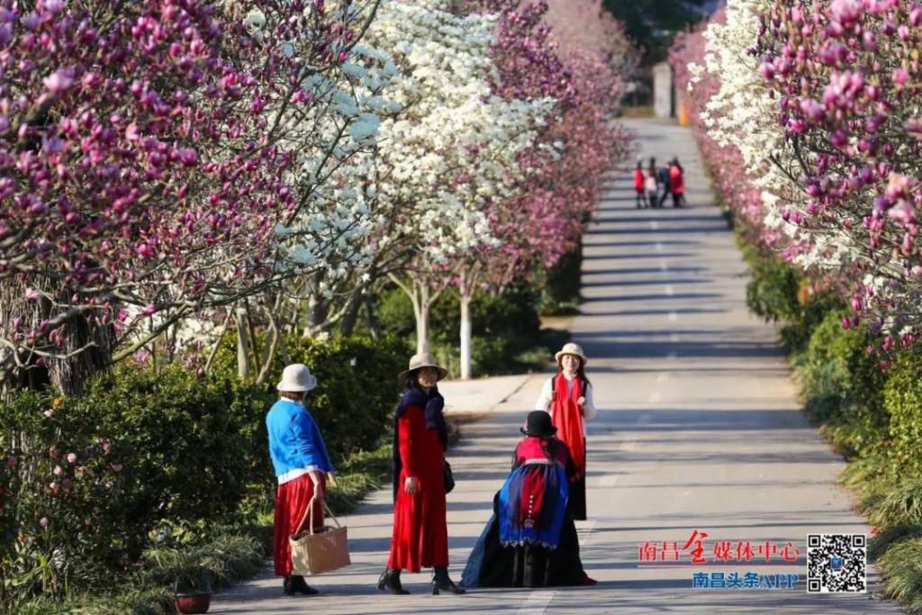 精华|太美了！近处风景！花样南昌……